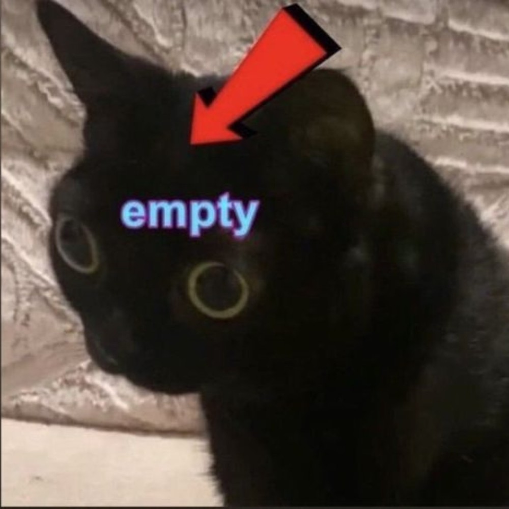 Meet your Posher, River